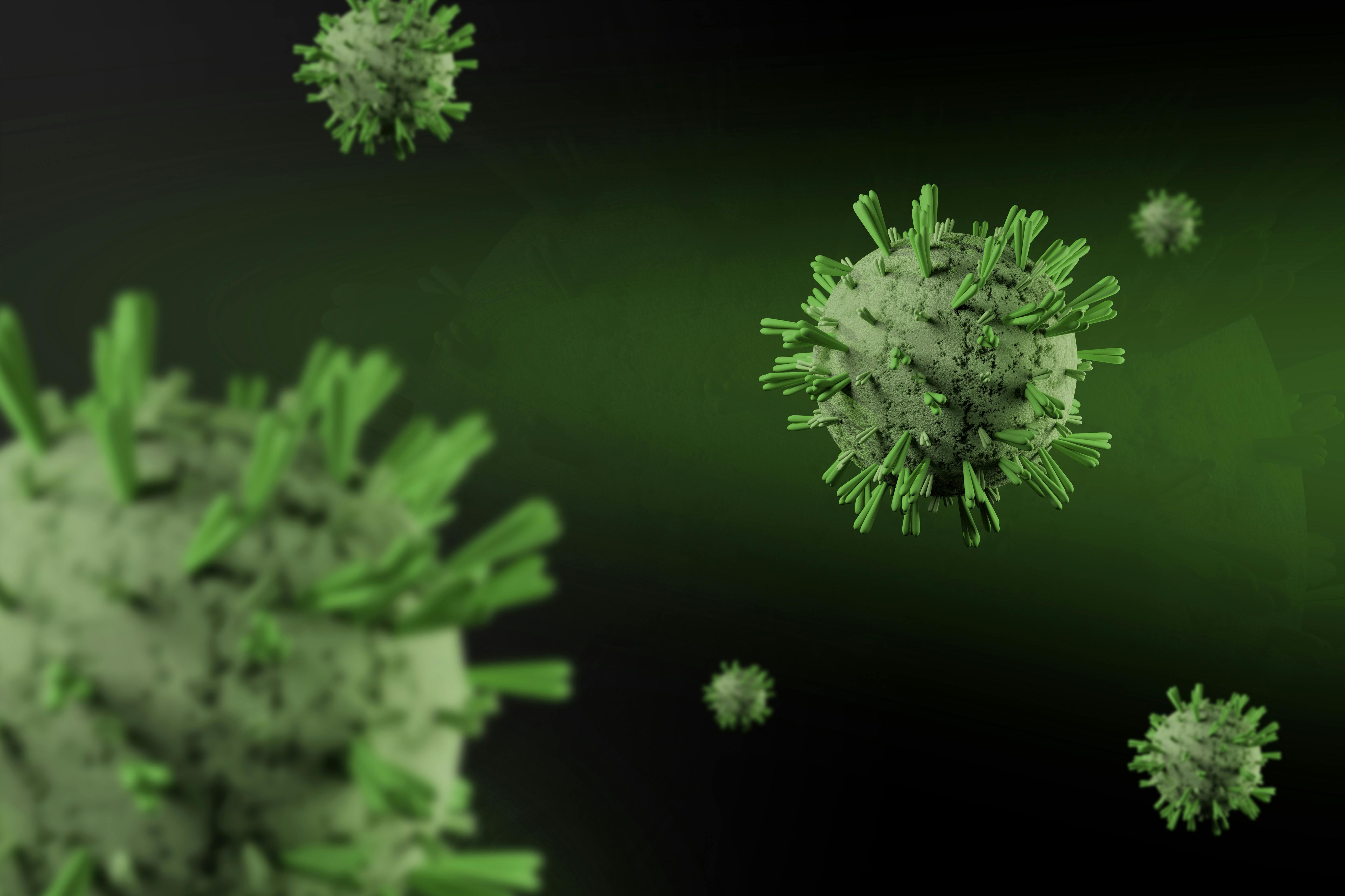 Marburg virus can infect innocent people in Madrid, Spain, if nothing is done by 30 July 2025.